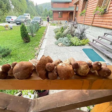 Villa Na Uzlissi Mihovo Kültér fotó