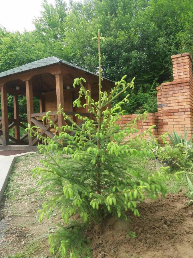 Villa Na Uzlissi Mihovo Kültér fotó