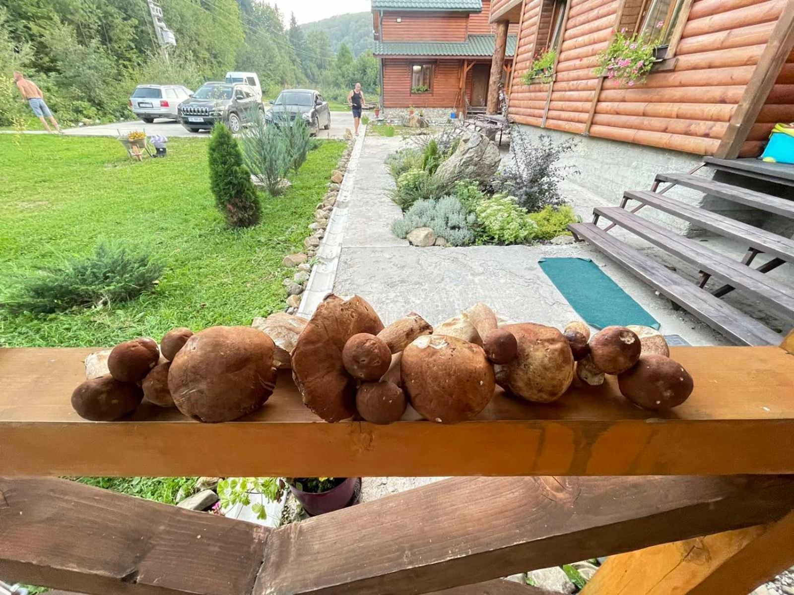 Villa Na Uzlissi Mihovo Kültér fotó